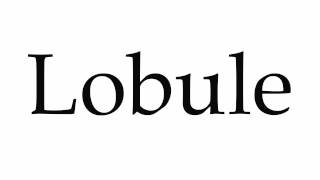 How to Pronounce Lobule [upl. by Stenger616]