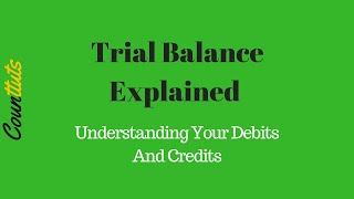 Trial Balance Explained  Understanding Your Debits And Credits [upl. by Nidorf]