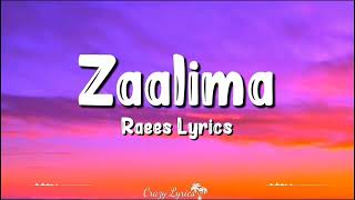 ZAALIMA SLOWED REVERB SONGSLOWED REVERB SONG HINDI SONGS [upl. by Torrell]