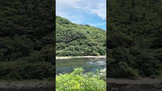 Flow of Shimanto River shikoku [upl. by Darcie22]