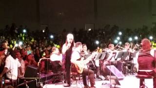 Ana Gabriel  Tu quisiste estar alla [upl. by Pontius]