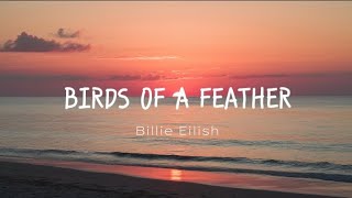 BILLIE EILISH  Birds Of A Feather New Version [upl. by Enylodnewg]