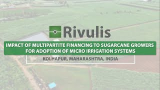 Rivulis Drip Irrigation Financing to Sugarcane Growers  English Rivulis India [upl. by Madonna]