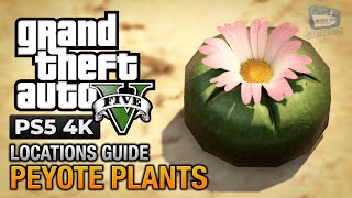 GTA 5 PS5  Peyote Plants Location Guide Play as an Animal [upl. by Vally129]