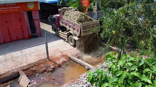 Casting stones to delete ancient pits in house fences use KOMATSU D20P dozer with dump truck unload [upl. by Adine]