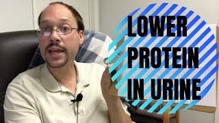 How To Lower Protein in urine Proteinuria amp Improve Kidney Health amp Kidney Function [upl. by Nauqram]