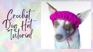 CROCHET TUTORIAL Dog Hat for Medium Size Breeds  Complete StepbyStep Guide and Tips [upl. by Nnailuj]