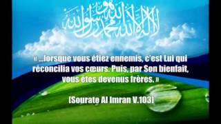 Le Tawhid rassemble les véridiques  ‪Shaykh Sâlih AlFawzân‬ [upl. by Genesia]