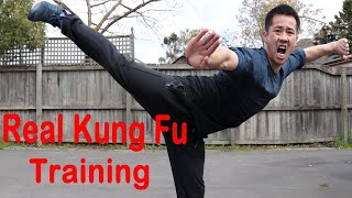 Shaolin Kung Fu Wushu Butterfly Kick Training For Beginners [upl. by Nyraf482]