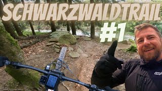 Der beste MTB Trail im Schwarzwald   Alpirsbacher Schwarzwaldtrail 2023  Sasbachwalden [upl. by Elburt]