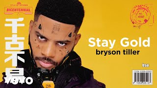 Bryson Tiller  Stay Gold Visualizer [upl. by Euqinomod349]