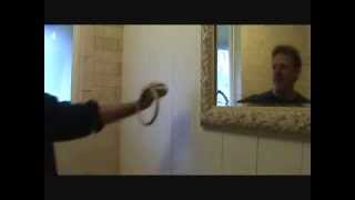 How to install a towel ring in a bathroomPart 2 [upl. by Cartan]