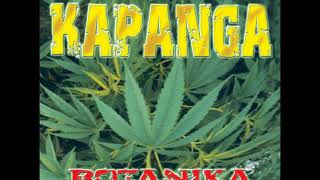 Kapanga  Labios AUDIO [upl. by Suzi850]