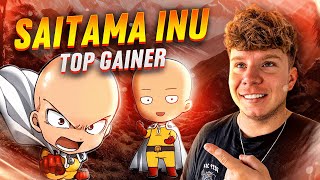 Saitama INU Review  Will Saitama Punch Us TO THE MOON PRESALE IS LIVE [upl. by Khalin22]