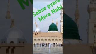 New Naate mere Nabi Ki Naat 😱😲Look And Laugh [upl. by Filemon]