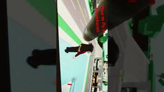 How to fly in Brookhaven huge hack roblox [upl. by Arze]