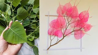 Skeleton leaves wall hanging craftart and craft ideashome decor idea [upl. by Jessy324]