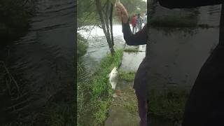 fishing amazing fishhook [upl. by Poll]