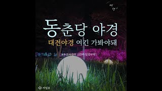 갬성 있는 야경 산책 대전여행 동춘당 LED 야경명소 변신 저널큐 [upl. by Lenehc]