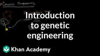 Introduction to genetic engineering  Molecular genetics  High school biology  Khan Academy [upl. by Leibarg]