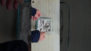 How to Mix Plaster of Paris for Pouring Craft Not for Sculpting Easy plaster art plasterofparis [upl. by Marigold]