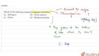 Which of the following represents obligate anaerobes [upl. by Veradia]