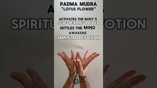 Padma Mudra  quotLotus Flowerquot  Hand Gesture [upl. by Zsazsa623]