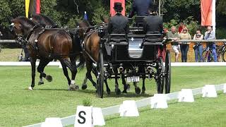 Chardon Bram NED TEAM FEI EU CH H4 CHI Donaueschingen Dressage 16 08 2019 [upl. by Tuckie]