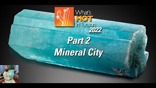 Whats Hot In Tucson 2022  Part 2  Mineral City [upl. by Leunamme]