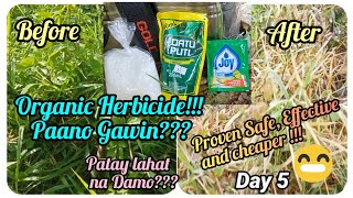 『Organic Herbicide paano Gawin』〘Patay lahat na Damo〙 [upl. by Epp]