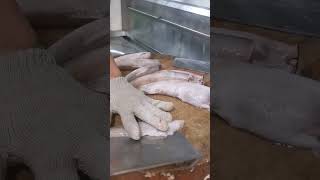 How to fillet snow fish palmfoodies seafood fish [upl. by Sucitivel]