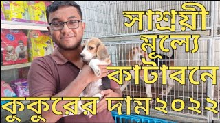 কাটাবন কুকুরের দাম  কাটাবন কুকুরের দাম কত ২০২২ Katabon dog price in 2022 Dog price in Bangladesh [upl. by Justinian]