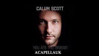 Calum Scott  You Are The Reason  Acapella [upl. by Landy482]