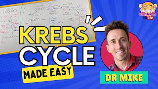 Krebs Cycle  Made Easy [upl. by Ahsikit]