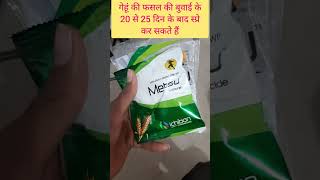 गेहूं के खरपतवार को कैसे नियंत्रण करें  Metsulfuron methyl 20 [upl. by Zaraf]