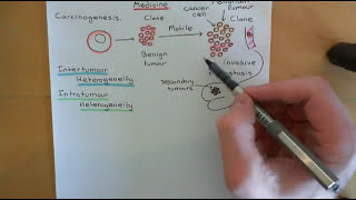 Personalized Cancer Medicine Part 1 [upl. by Ming326]