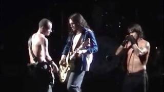 Red Hot Chili Peppers  Intro  Otherside LIVE [upl. by Roderich930]