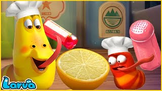 LARVA SEASON 2 EPISODE Chef  COMICS  MINI SERIES FROM ANIMATION [upl. by Volpe15]