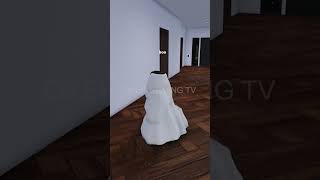 SPYING ON ODERS IN ROBLOX SNAPBLOX [upl. by Cowan309]