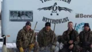 Waterfowl Mayhem Goose and Duck hunting in PA [upl. by Yuht232]