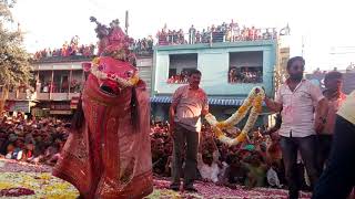 Nandkeshwar Mela 2019 Sambhar Lake Dhanmandi Live [upl. by Ettolrahs]