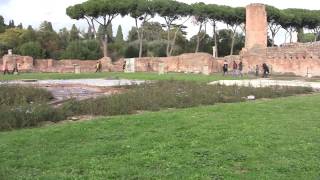 Palace of Domitian Tour Rome Italy [upl. by Nimsaj680]