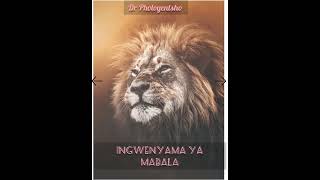 Ingwenyama ya mabale spirit song Hear the ancient prayer to summon the Ingwenyama [upl. by Nelrsa]