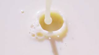 Pouring Milk in Slow Motion Footage Video [upl. by Nnyrb265]