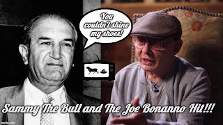 Sammy The Bull and The Joe Bonanno Hit mafia mafiaboss gambino sammygravano crime [upl. by Kahn]