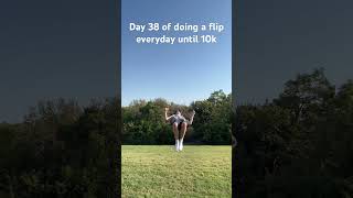 Day 38 of doing a flip everyday until 10k subs flip subscribe viralvideo shorts [upl. by Marika499]