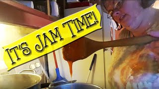 Its Jam Time How to Make Wild Persimmon Spiced Jam [upl. by Hu335]