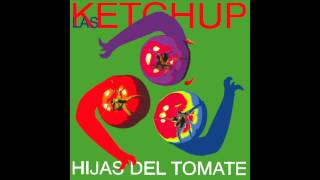 Las Ketchup  The Ketchup Song Asereje Hippy Version [upl. by Denzil]