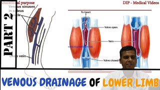 Anatomy  Venous Drainage of Lower Limb  Perforating vein  Made Easy by Dr Laxman Khanal  Part 2 [upl. by Baum337]