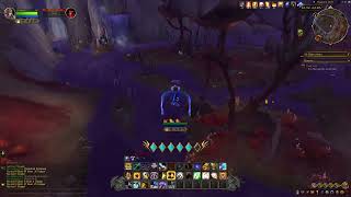 The War Within Quest 496 Time Lost WoW human paladin [upl. by Mullac]